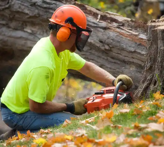 tree services Frankenmuth